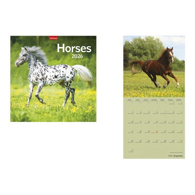 Horses, képes lemeznaptár 2026