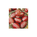 Hungary, képes falinaptár 2026