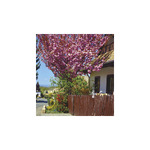 Hungary, képes falinaptár 2026