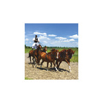 Hungary, képes falinaptár 2026