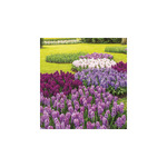 Kertek, képes falinaptár 2026