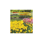 Kertek, képes falinaptár 2026