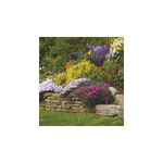 Kertek, képes falinaptár 2026