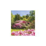 Kertek, képes falinaptár 2026