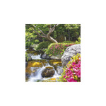 Kertek, képes falinaptár 2026