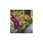 Kertek, képes falinaptár 2026