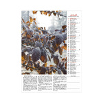 Kertésznaptár, képes falinaptár 2026