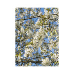 Kertésznaptár, képes falinaptár 2026 Kertésznaptár, képes falinaptár 2026