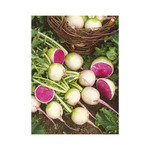 Kertésznaptár, képes falinaptár 2026 Kertésznaptár, képes falinaptár 2026