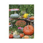 Kertésznaptár, képes falinaptár 2026