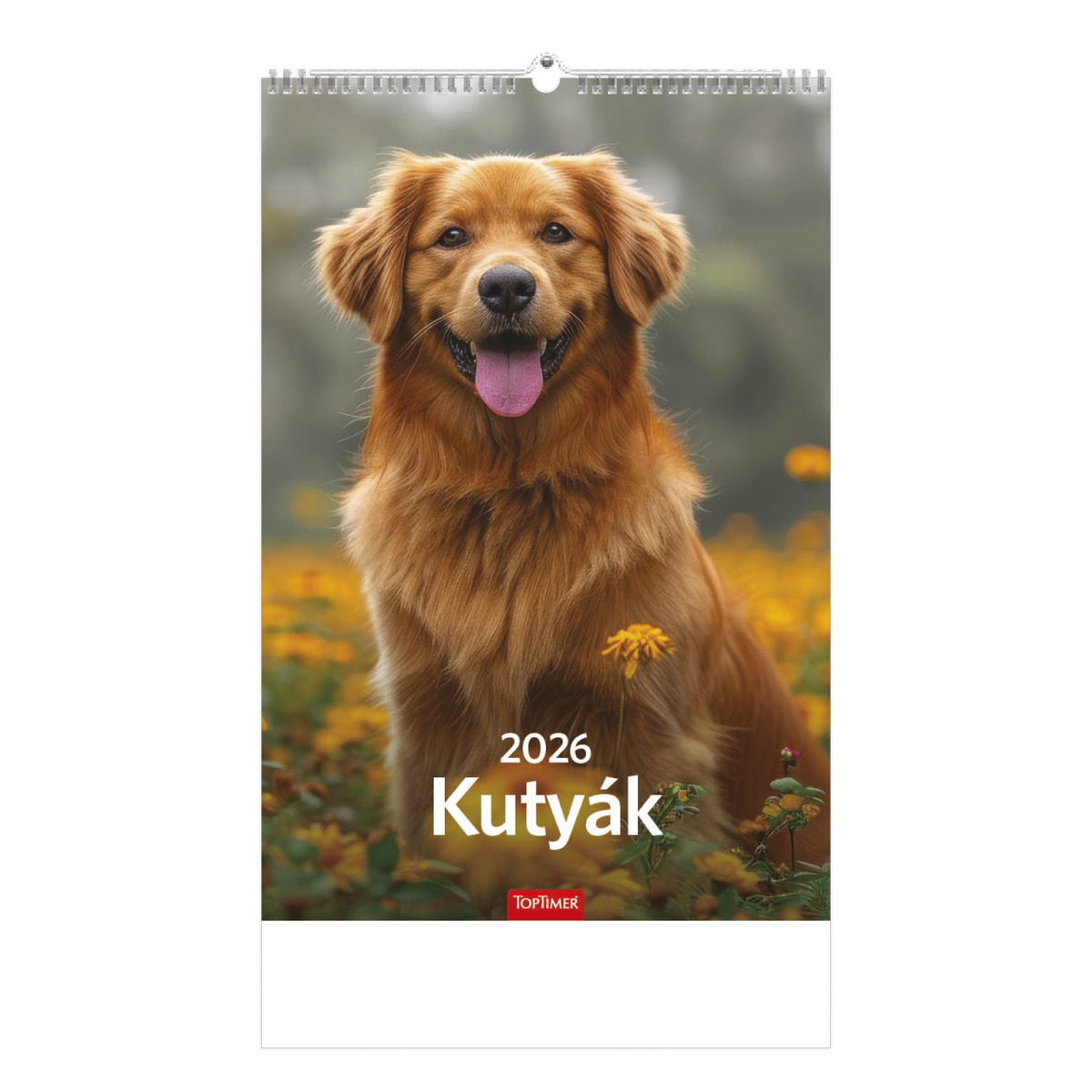 Kutyák, képes falinaptár 2026 Kutyák, képes falinaptár 2026