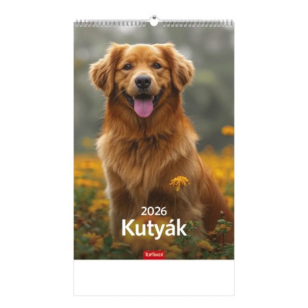 Kutyák, képes falinaptár 2026