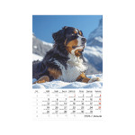 Kutyák, képes falinaptár 2026