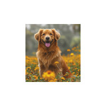 Kutyák, képes falinaptár 2026