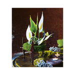 Live Design, képes falinaptár 2026