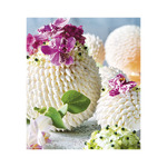 Live Design, képes falinaptár 2026