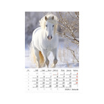 Lovak, képes falinaptár 2026