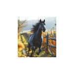 Lovak, képes falinaptár 2026