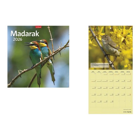 Madarak, képes lemeznaptár 2026