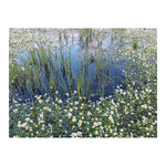 Magyarország Vizei, képes falinaptár 2026