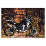 Motorbikes, képes falinaptár 2026