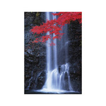 Nature Emotions, képes falinaptár 2026 Nature Emotions, képes falinaptár 2026