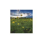 Nemzeti Parkjaink, képes falinaptár 2026 Nemzeti Parkjaink, képes falinaptár 2026