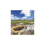 Nemzeti Parkjaink, képes falinaptár 2026 Nemzeti Parkjaink, képes falinaptár 2026