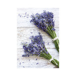 Provence, képes falinaptár 2026