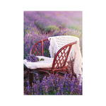 Provence, képes falinaptár 2026 Provence, képes falinaptár 2026