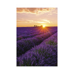 Provence, képes falinaptár 2026