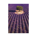 Provence, képes falinaptár 2026