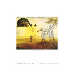 Salvador Dali, képes falinaptár 2026