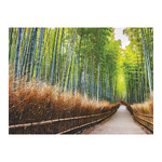 Sétány, képes falinaptár 2026