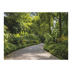 Sétány, képes falinaptár 2026