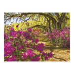 Sétány, képes falinaptár 2026