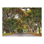 Sétány, képes falinaptár 2026