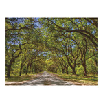 Sétány, képes falinaptár 2026