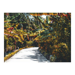 Sétány, képes falinaptár 2026