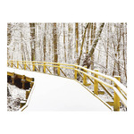 Sétány, képes falinaptár 2026