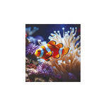 Vadállatok, képes falinaptár 2026