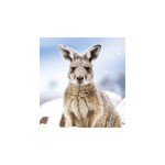 Vadállatok, képes falinaptár 2026