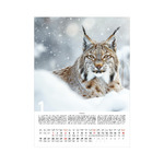 Vadászat, képes falinaptár 2026 Vadászat, képes falinaptár 2026