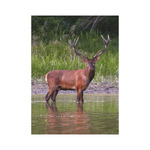 Vadászat, képes falinaptár 2026 Vadászat, képes falinaptár 2026