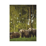 Vadászat, képes falinaptár 2026 Vadászat, képes falinaptár 2026