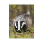 Vadászat, képes falinaptár 2026 Vadászat, képes falinaptár 2026