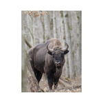 Vadászat, képes falinaptár 2026 Vadászat, képes falinaptár 2026