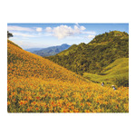 Varázslatos Tájakon, képes falinaptár 2026 Varázslatos Tájakon, képes falinaptár 2026