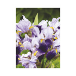 Virágcsokrok, képes falinaptár 2026