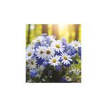 Virágcsokrok, képes falinaptár 2026